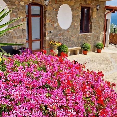 Pietra Del Colle Agriturismo Altavilla Silentina Dış mekan fotoğraf